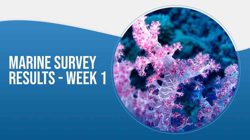 Marine Survey Results – Week 1