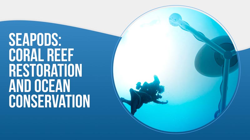 SeaPods A Revolutionary Approach to Coral Reef Restoration and Ocean Conservation
